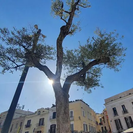 Lägenhet Dimora Donna Vittoria - Vecchia *